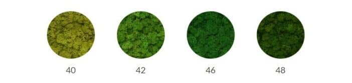 choix couleur mur vegetal choix couleur mur vegetal
