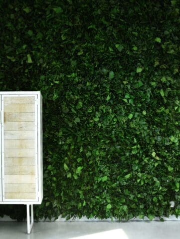 meamea Surface IVY 9576 web petit scaled meamea Surface IVY 9576 web petit scaled